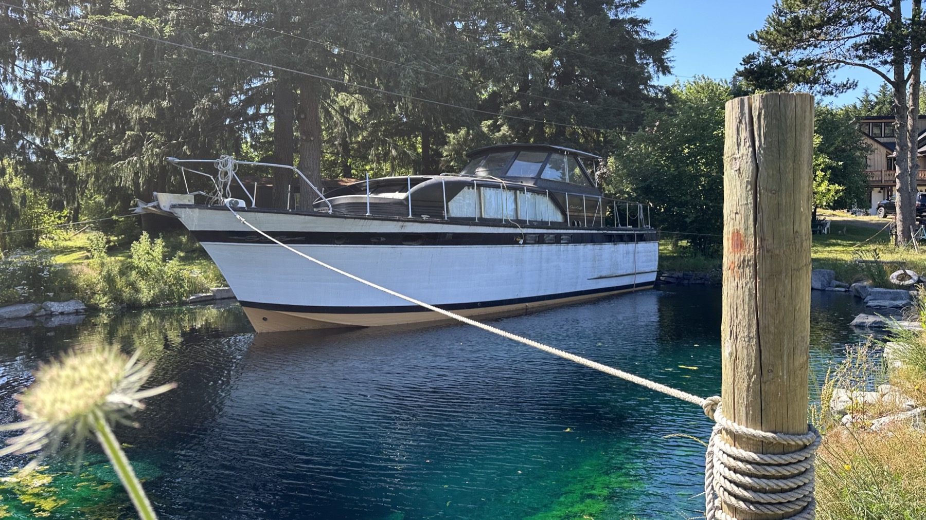 View across the pond and shoreline